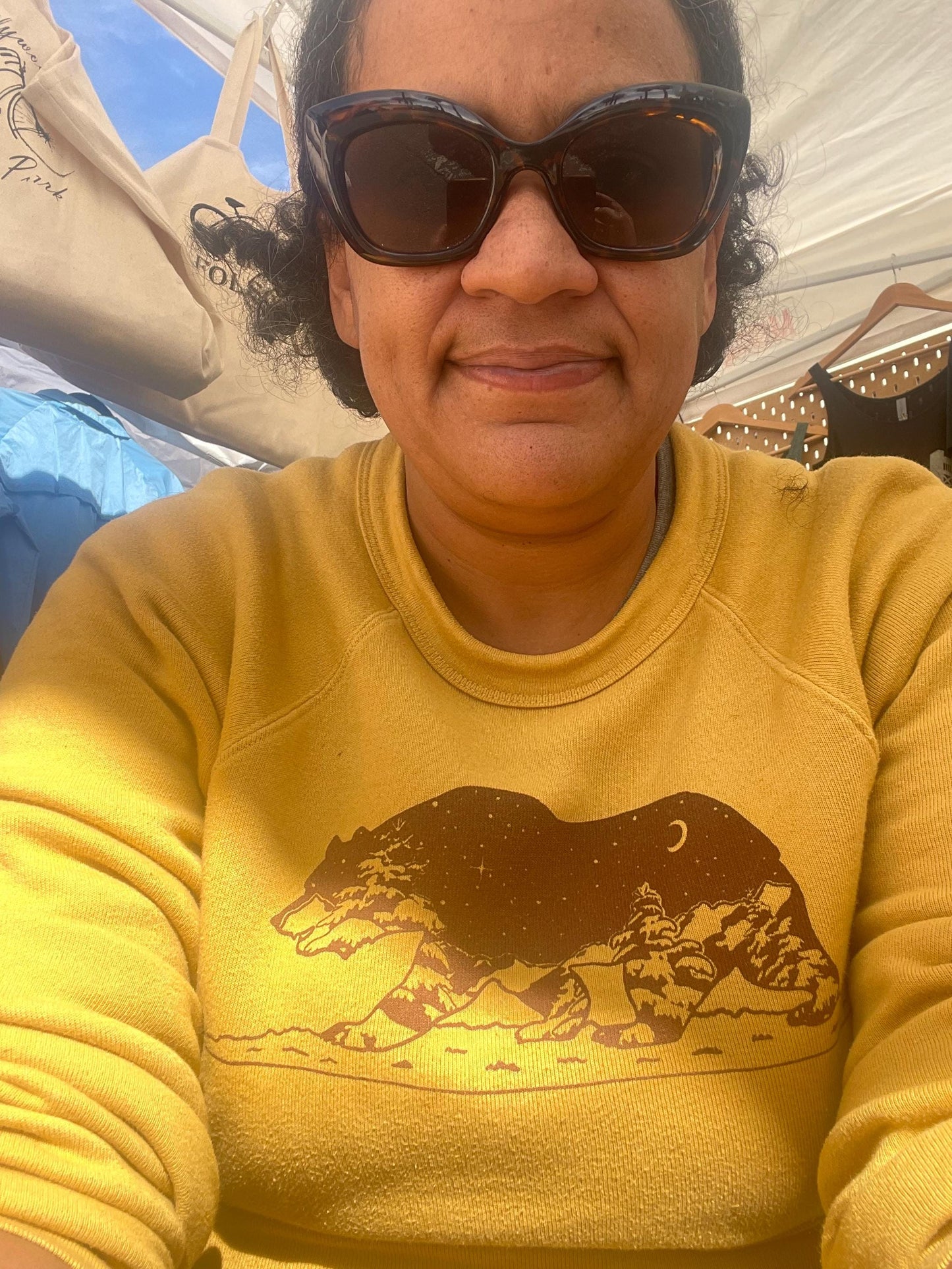California Grizzly Bear Art Pullover Sweatshirt - Super Soft, XS-3X