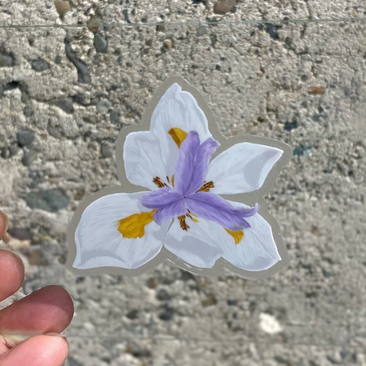 Iris Art Sticker - 3" -Transparent Decal