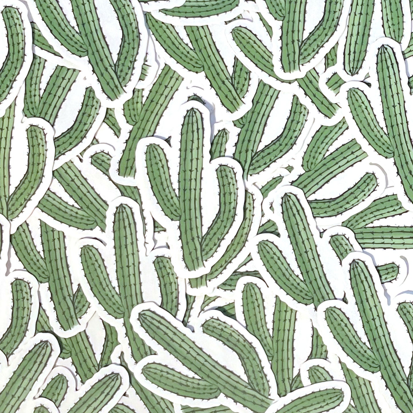 Cactus Sticker - Transparent Decal - Waterproof