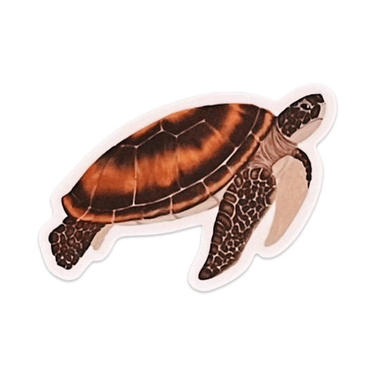 Turtle Art Sticker - 3"