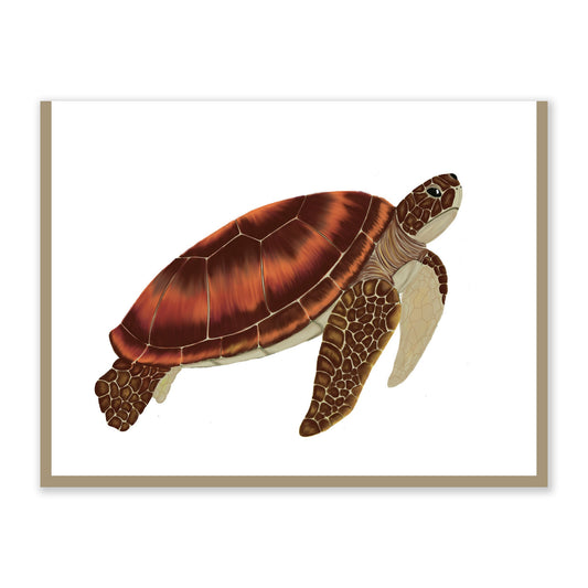 Sea Turtle Card |  Original Artwork | Ocean Lovers | Honu | Greeting Card | Handmade