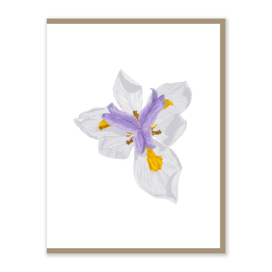 Iris Greeting Card - 4.25 x 5.5in