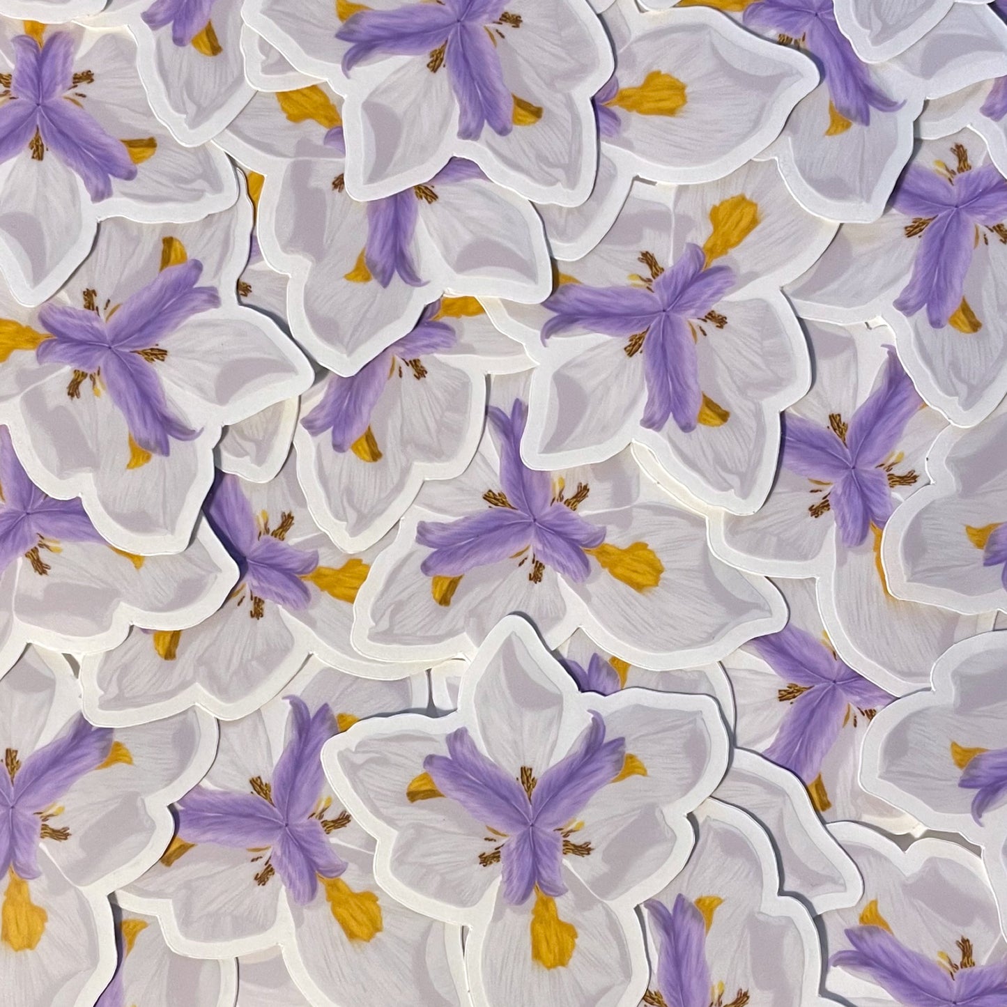 Iris Sticker - Transparent Decal - Waterproof