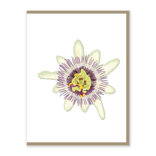 Passion Flower Greeting Card - 4.25 x 5.5in
